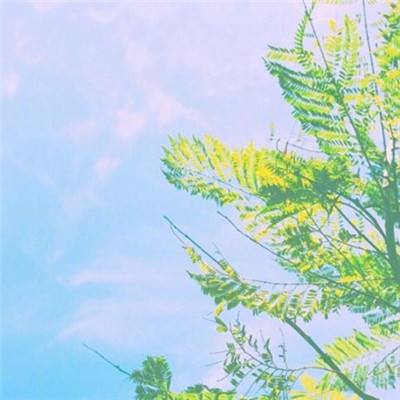 早教游戏大全下载